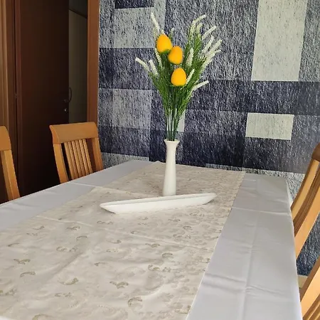 Apartman Antonela With Free Garage Parking *